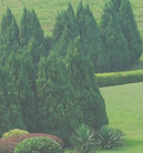 短信轰机轰炸app下载安卓手机