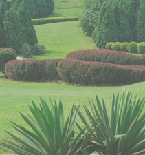 呼死你电话轰炸机